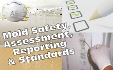 Mold Basics: Safety, Assessment, Reporting & Standards Online Training & Certification