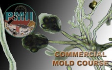 Commercial Mold Inspector Certification Online Training & Certification