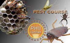 Pest Inspection Course Online