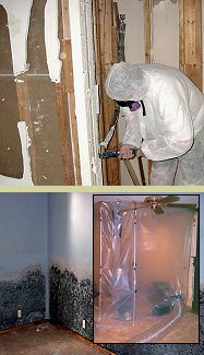 Mold Training from PMII